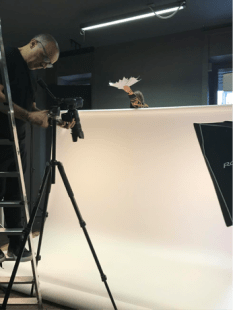 Без заголовка.png